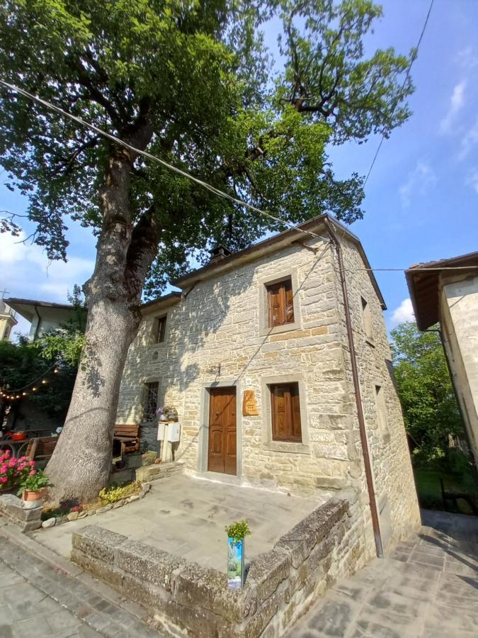 圣索菲亚Casina La Quercia公寓 外观 照片